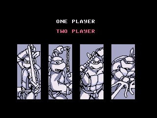 Teenage Mutant Hero Turtles